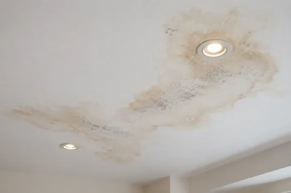 Cách Xử Lý Trần Thạch Cao Bị Thấm Nước Và Ẩm Mốc